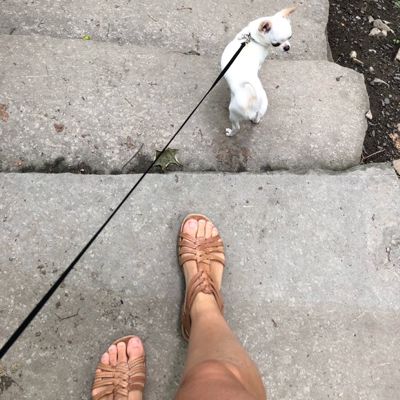 [ CLOSET INFO ] Meet your Posher - Picture 2 of 2